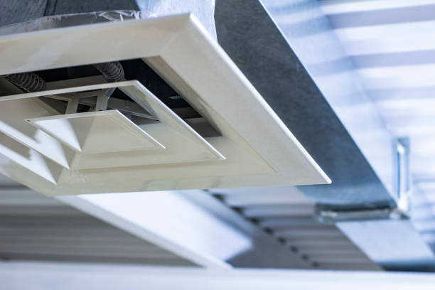 Best Affordable Air Duct Cleaning  in Genoa City, WI